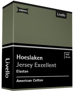 Livello Hoeslaken Jersey Excellent Green 250 gr